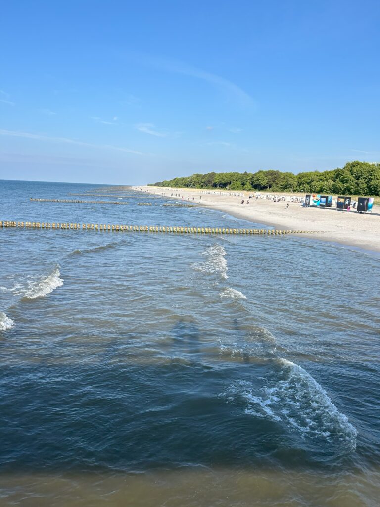 Strand von Zingst. Im Meer sieht man die Buhnen und am Strand ist eine Fotoausstellung. Im Hintergrund sieht man den Wald auf der Düne.