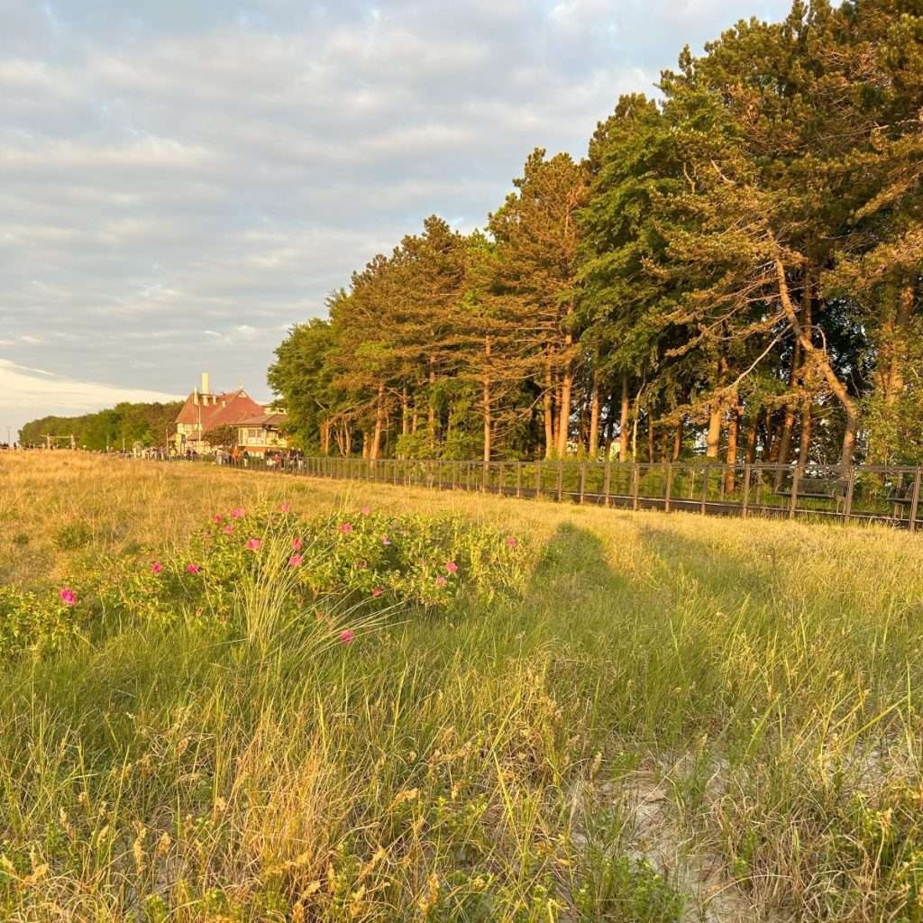 Düne an der Seebrücke von Zingst. Im Hintergrund sieht man das Kurhaus vom Ostseeheilbad Zingst.