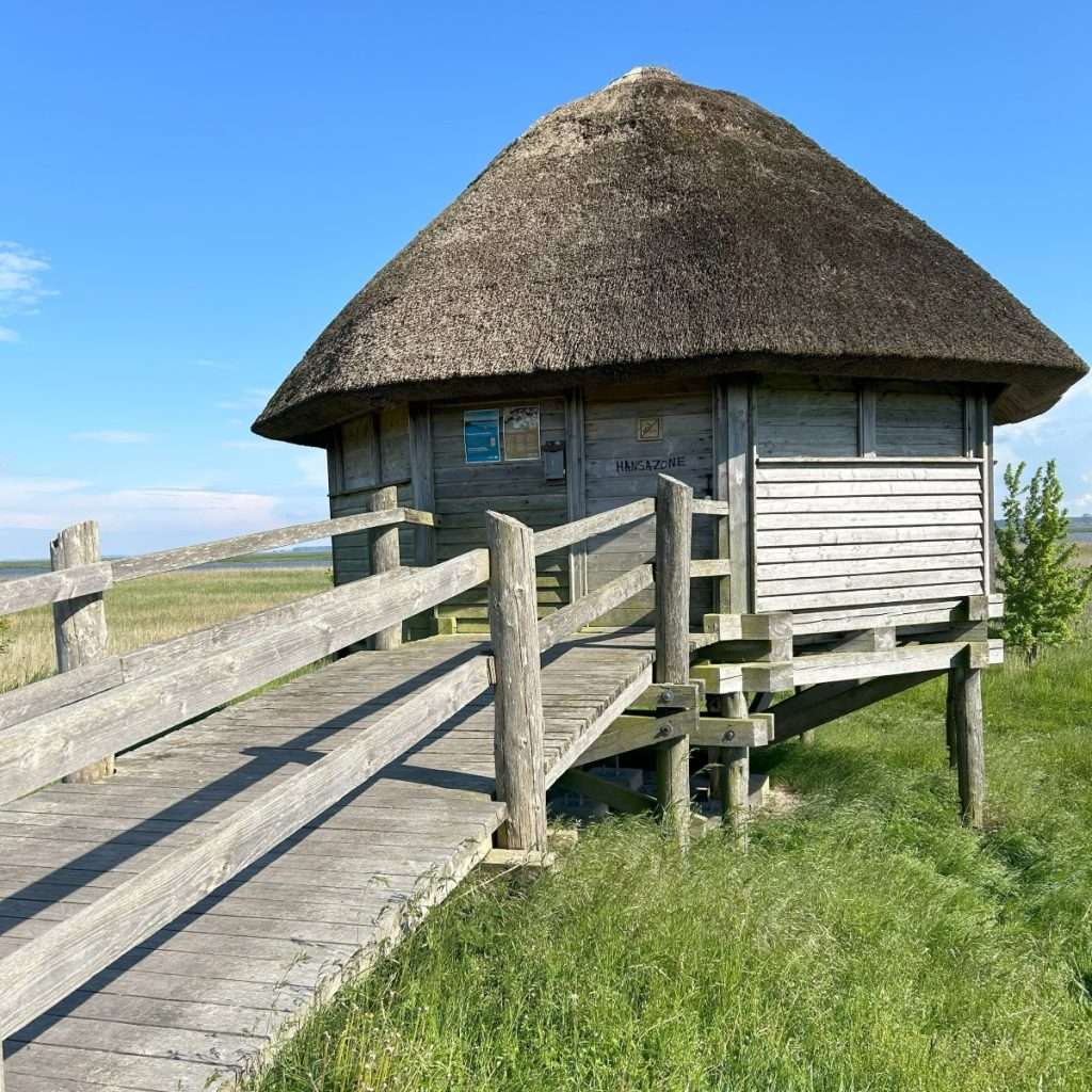 Reetgedeckter Vogelbeobachtungsturm am Bodden von Zingst.