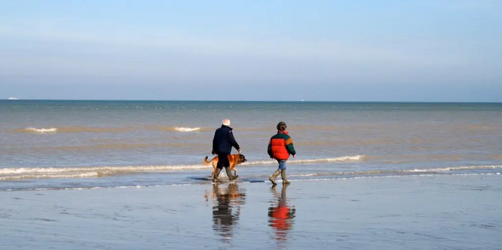 Ein Paar spaziert mit Hund am Strand der Ostsee