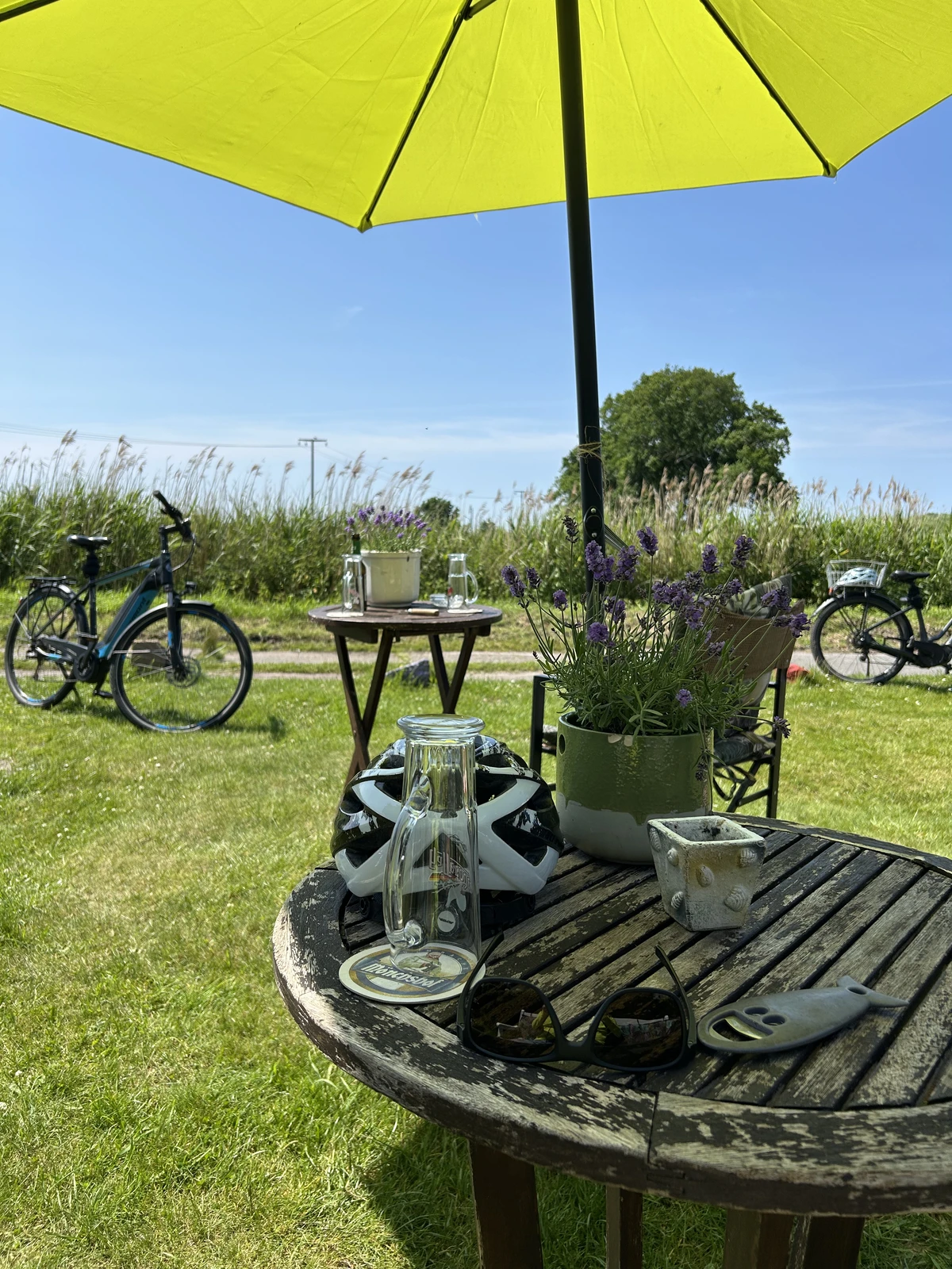 Am Tisch des Biergarten Fred Korn