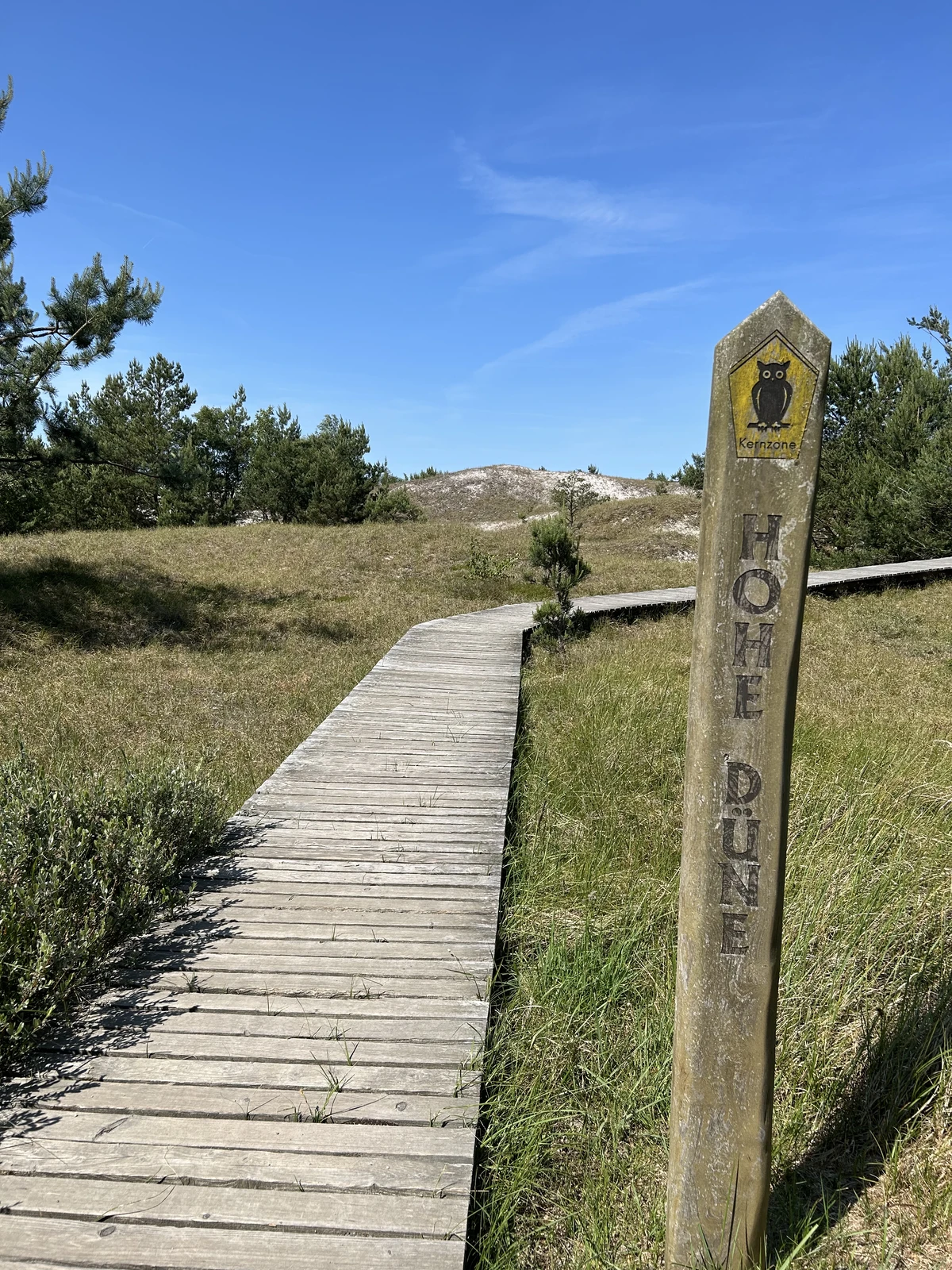 Holzweg zur Hohen Düne