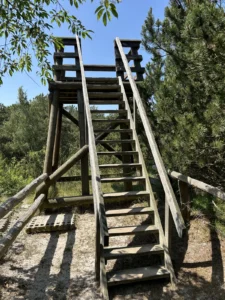 Aussichtsturm kurz vor Prerow