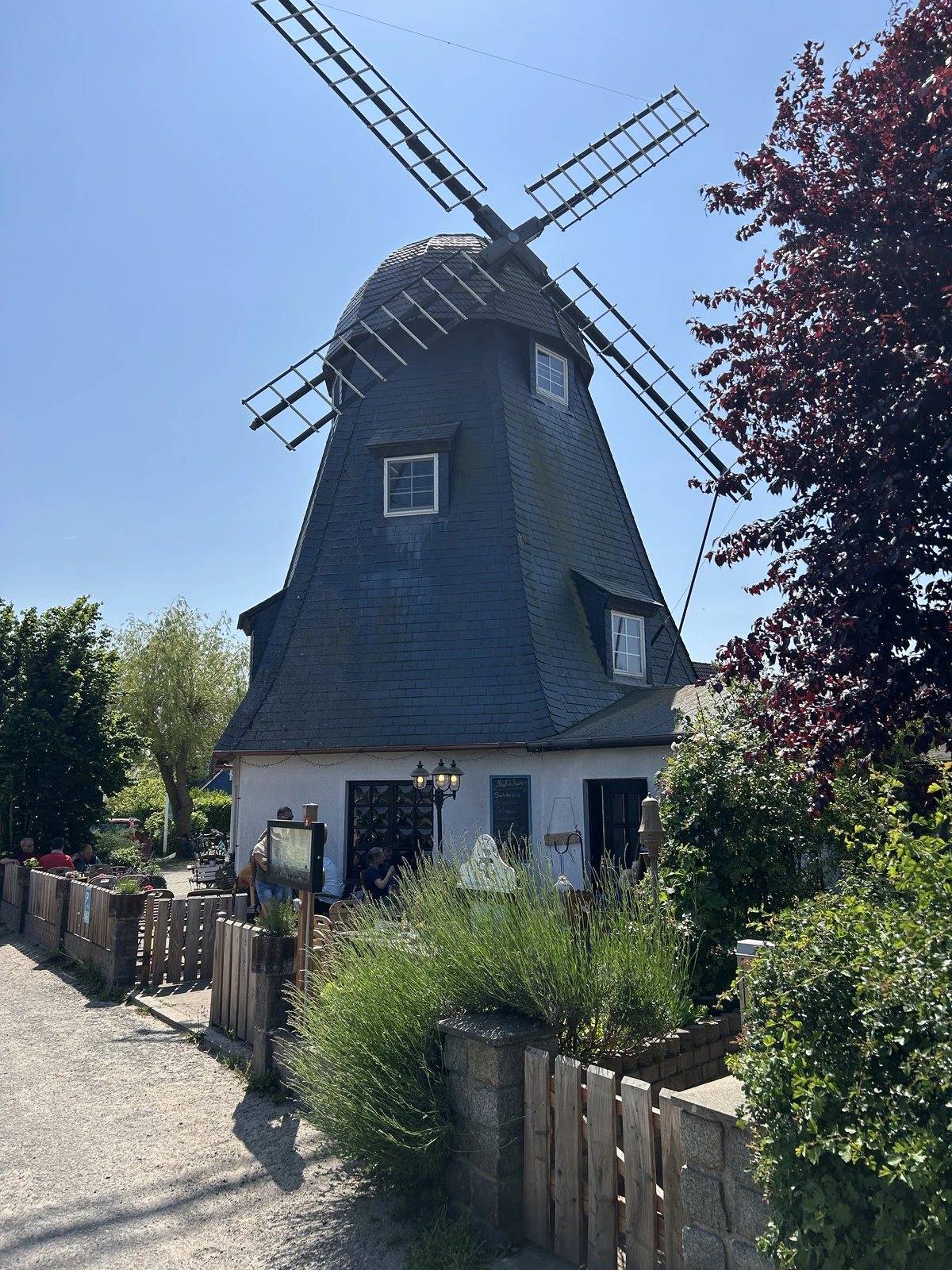 Windmühle in Born