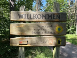Holztafel die den Eingang zum Darßer Urwald anzeigt