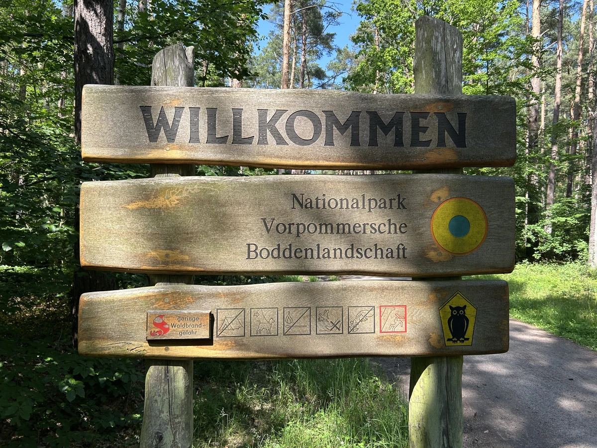 Holztafel die den Eingang zum Darßer Urwald anzeigt